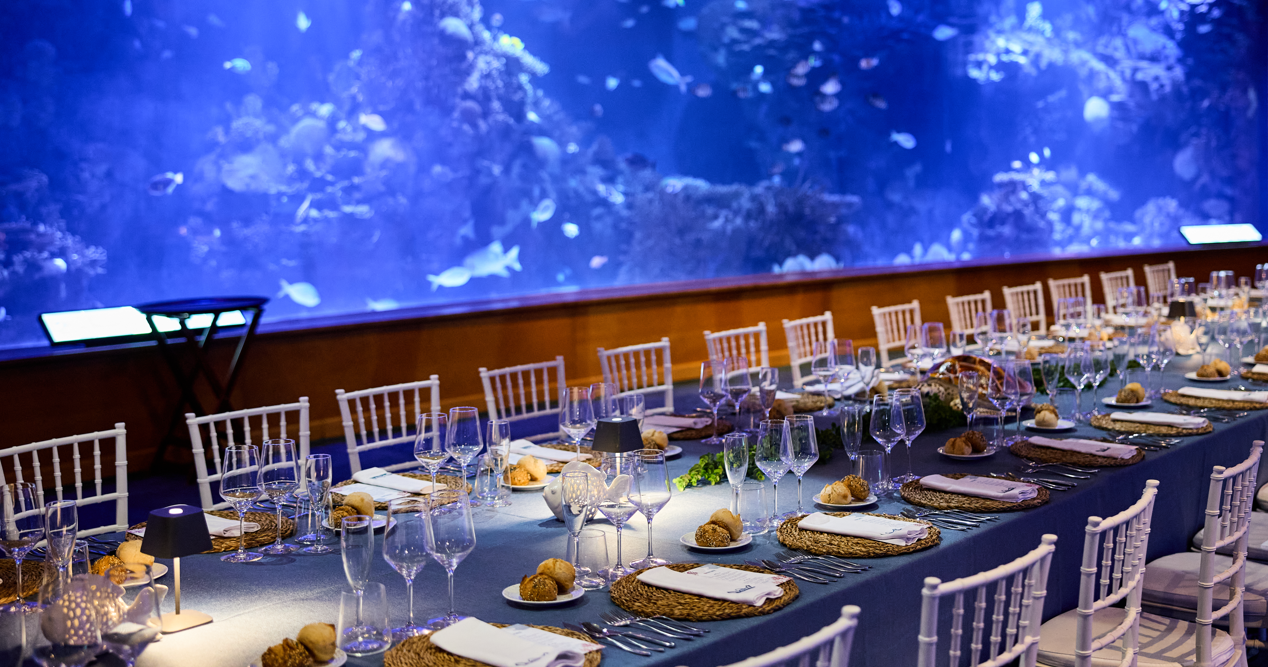 Captura de pantalla 2025-10-30 160554 Captura de pantalla 2025-10-30 160554